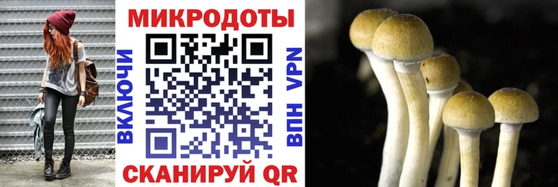 ОМГ ОМГ сайт  Избербаш  Галлюциногенные грибы мицелий 